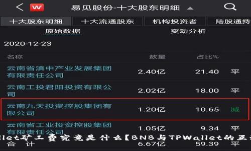 TPWallet矿工费究竟是什么?BNB与TPWallet的互动解析