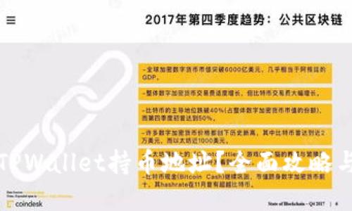 如何查看TPWallet持币地址?全面攻略与实用技巧