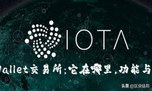 了解TPWallet交易所:它在哪里,功能与市场分析