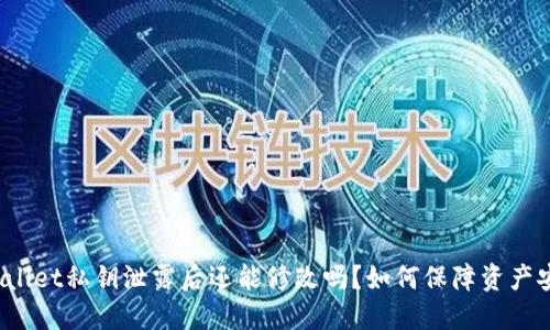 TPWallet私钥泄露后还能修改吗?如何保障资产安全?