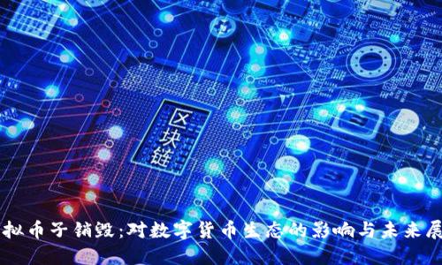 虚拟币子销毁：对数字货币生态的影响与未来展望