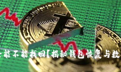 tpwallet删除能不能找回?揭秘钱包恢复与数据安全的真相