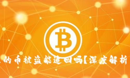 tpwallet里的币被盗能追回吗?深度解析与应对策略