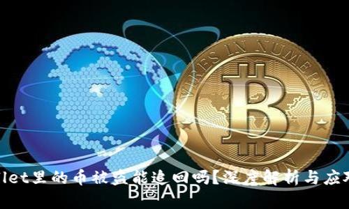 tpwallet里的币被盗能追回吗?深度解析与应对策略