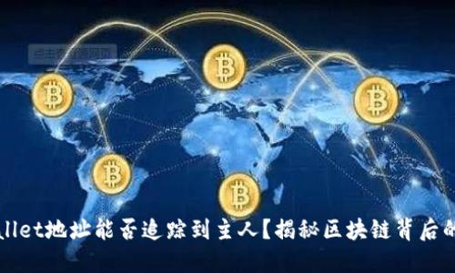 TPWallet地址能否追踪到主人？揭秘区块链背后的秘密