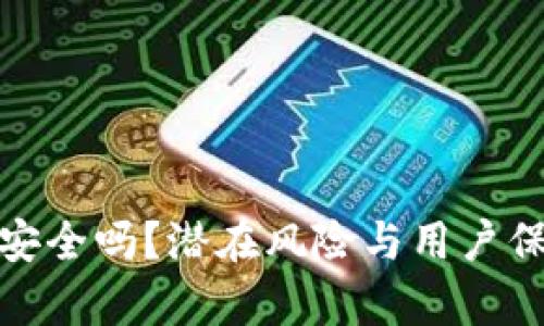 tpwallet平台安全吗？潜在风险与用户保障的深入探讨