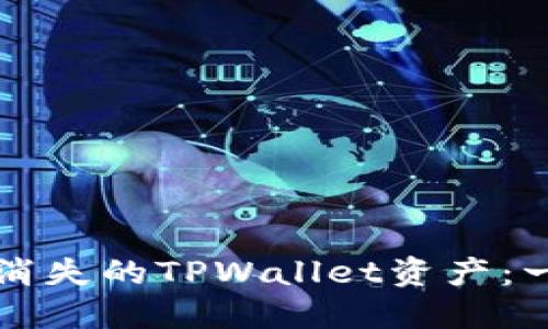 如何找到消失的TPWallet资产：一站式指导