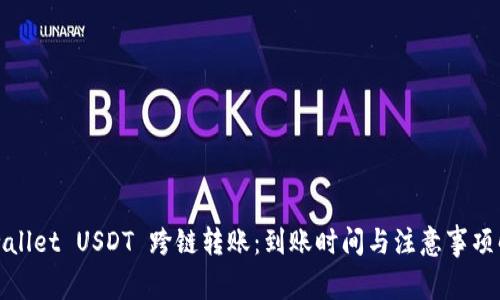 tpwallet USDT 跨链转账：到账时间与注意事项解析