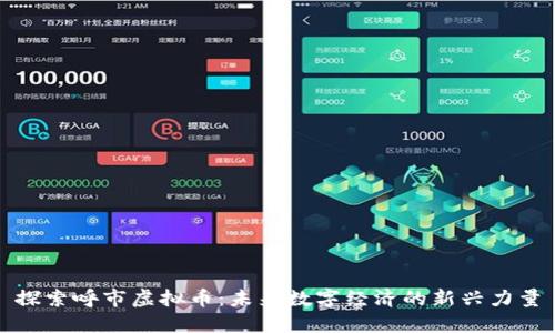 探索呼市虚拟币：未来数字经济的新兴力量