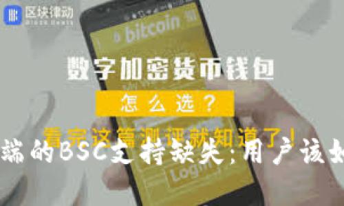 TPWallet电脑端的BSC支持缺失：用户该如何应对与解决