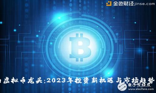国内虚拟币龙头:2023年投资新机遇与市场趋势分析