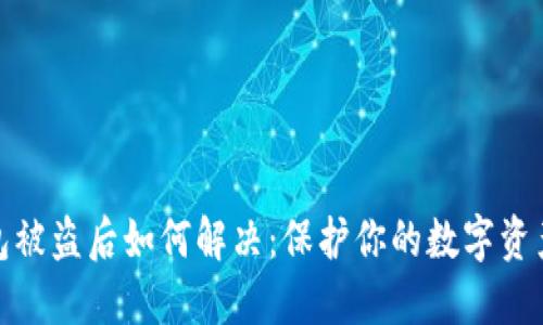 TP钱包被盗后如何解决：保护你的数字资产安全