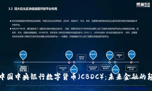 探秘中国中央银行数字货币(CBDC):未来金融的颠覆者