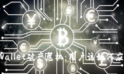 TPWallet破产危机：用户该如何应对？
