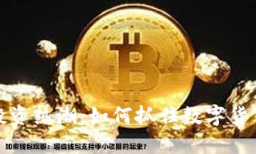国外虚拟币投资热潮:如何抓住数字货币的未来机遇
