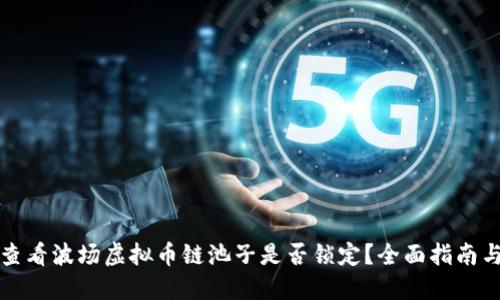 如何查看波场虚拟币链池子是否锁定?全面指南与技巧
